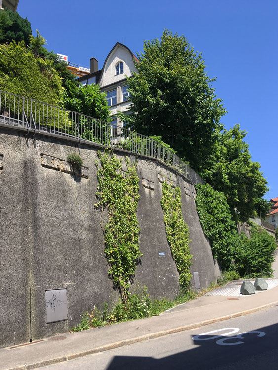 leimatstrasse 23 25.06.2020 7555x