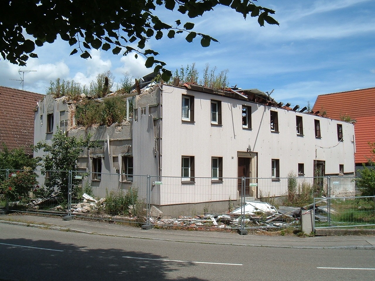 Ze-7652.jpg
