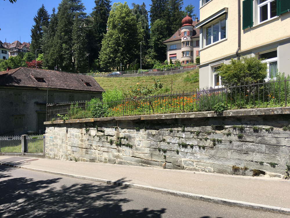 leimatstrasse 13 25.06.2020 7574