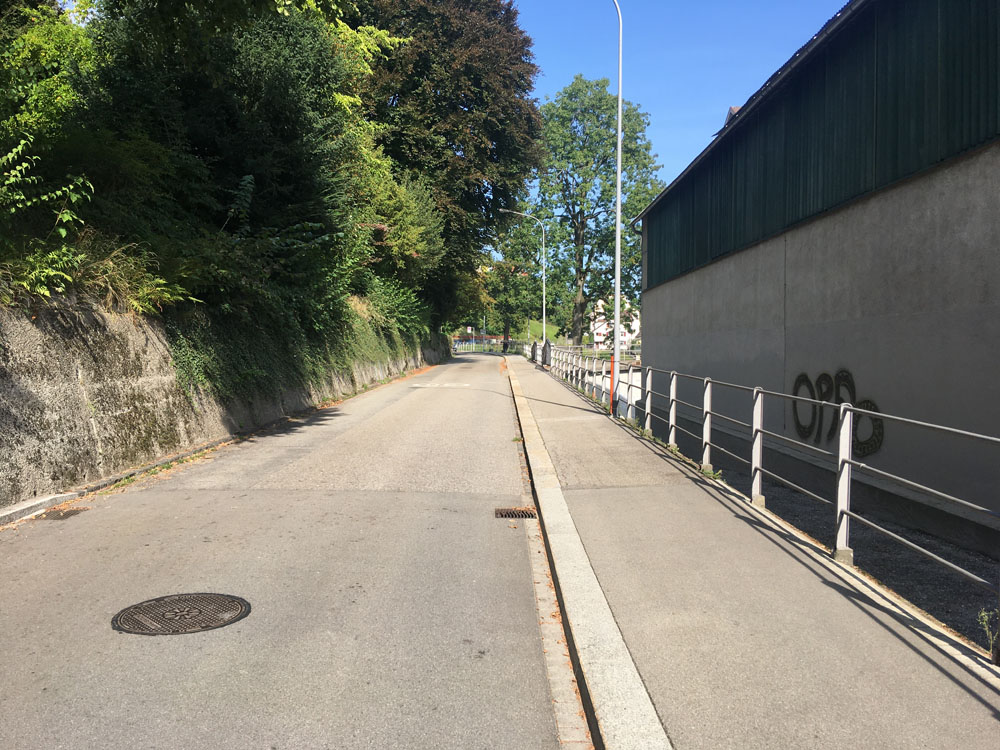 boecklinstrasse schuetzengarten 01.10.2020 8127