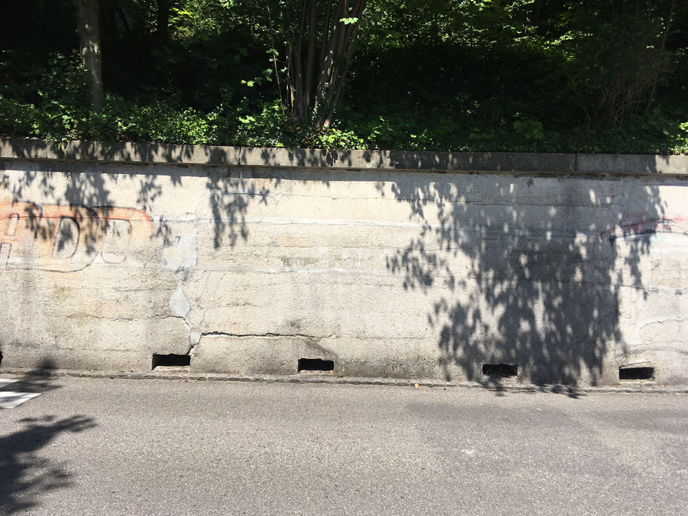 dierauerstrasse 19 25.06.2020 7493