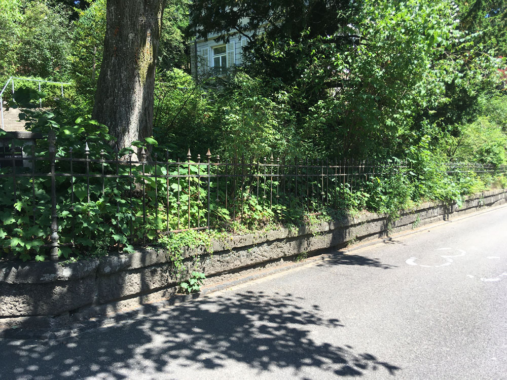 dierauerstrasse-1_25.06.2020_7472.jpg