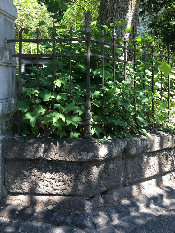 dierauerstrasse-1_25.06.2020_7473x.jpg