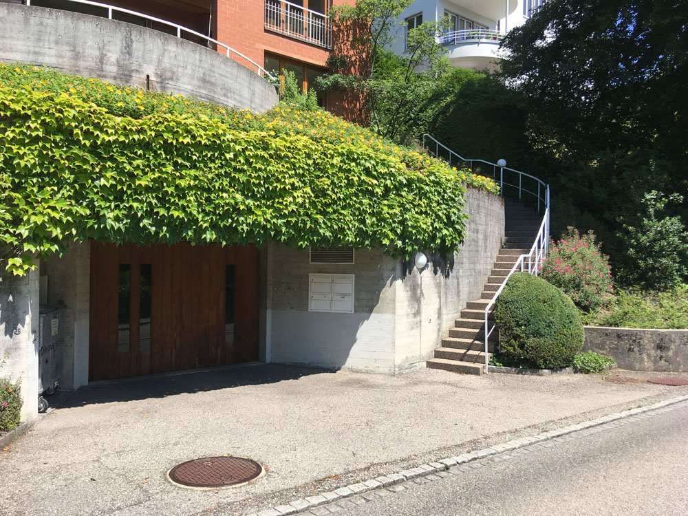 dierauerstrasse 7 25.06.2020 7484x
