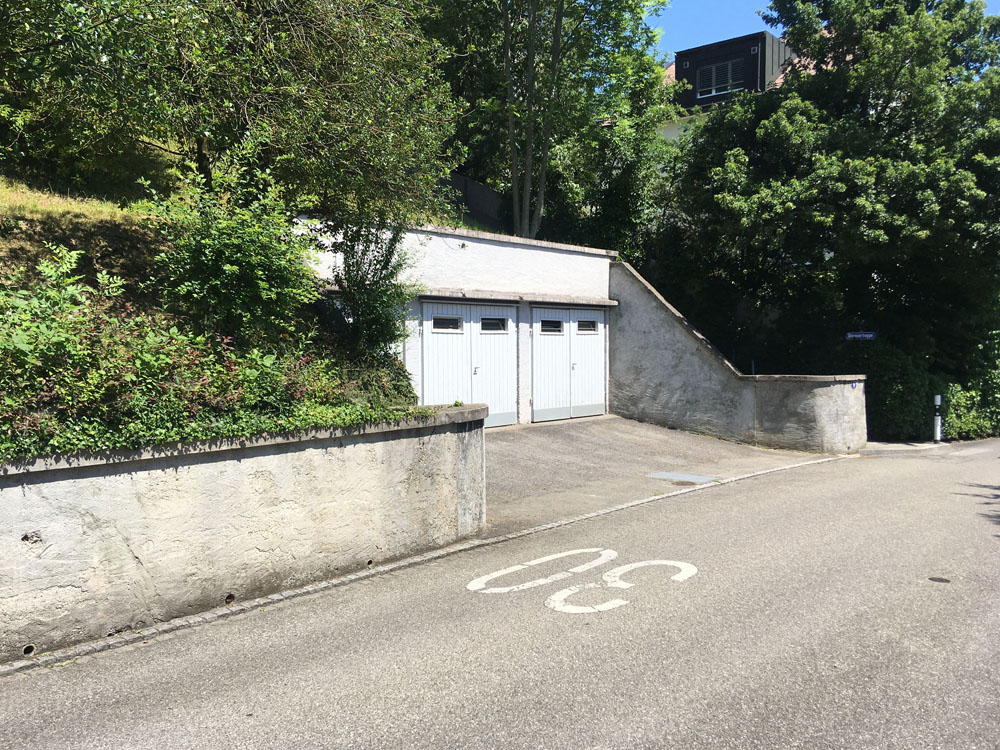 dierauerstrasse 9 25.06.2020 7485x