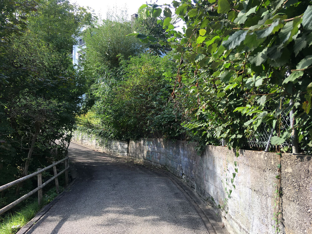 apfelbergweg-3-7_01.10.2020_8134.jpg