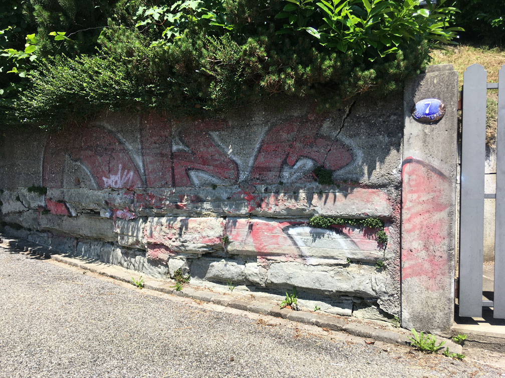 apfelbergweg-7_25.06.2020_7564.jpg